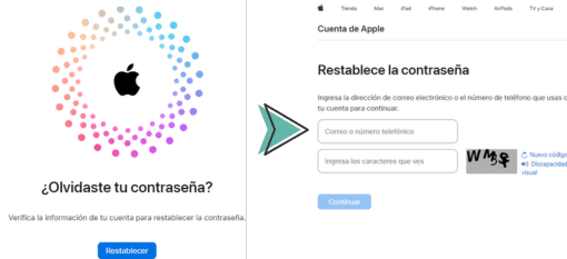 Resetear la contraseña para recuperar tu cuenta de iCloud