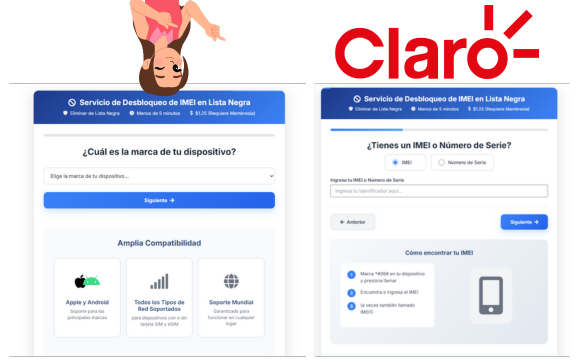 Paso 1: Formulario de datos del dispositivo