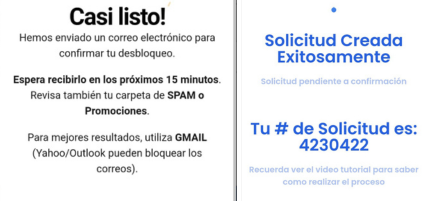 Paso 3: Esperar confirmación